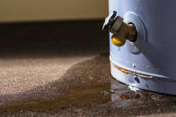 Reliable VA Water damage restoration Solutions