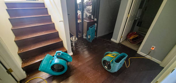 Best Water damage cleanup near me  in Weber City, VA
