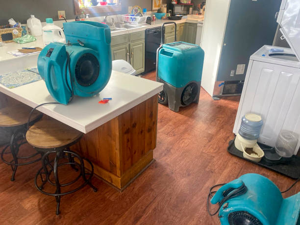 Best Ceiling water damage repair  in Weber City, VA
