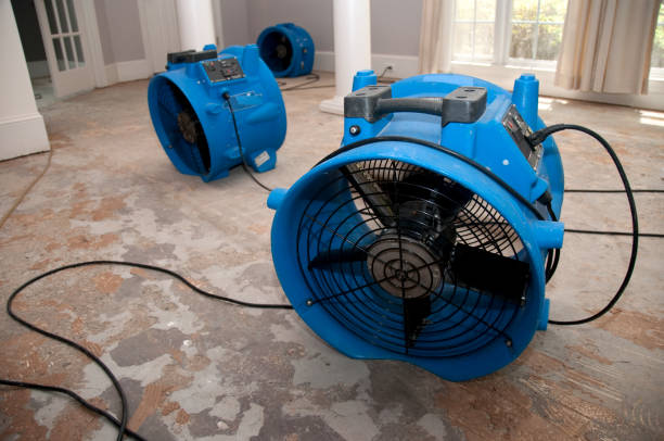 Best Flooded house restoration  in Weber City, VA
