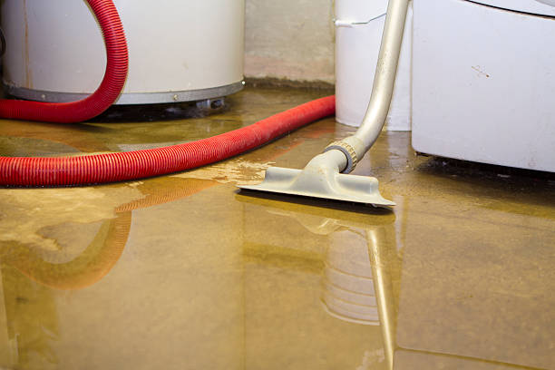 Best Water damage restoration near me  in Weber City, VA