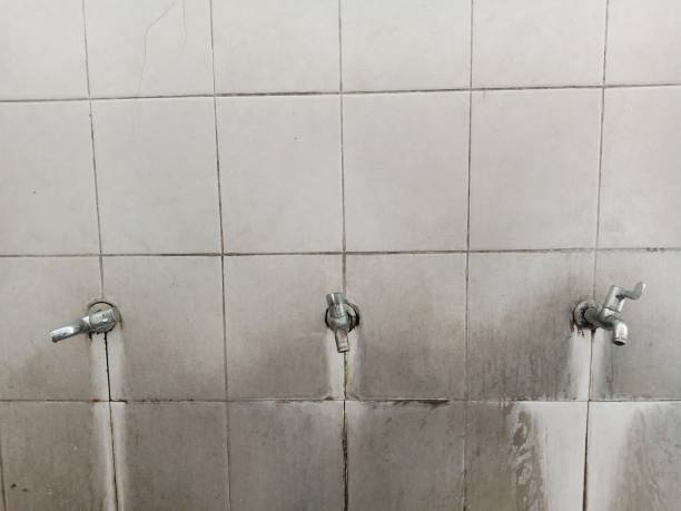 Best Flood restoration services  in Weber City, VA