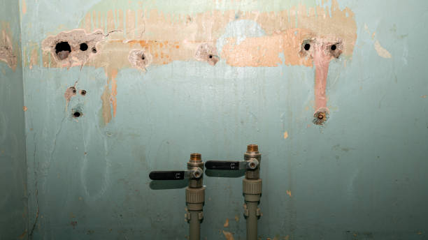 Best Local water damage restoration  in Weber City, VA
