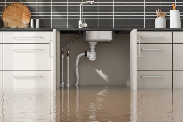 Best 24-hour water damage restoration  in Weber City, VA