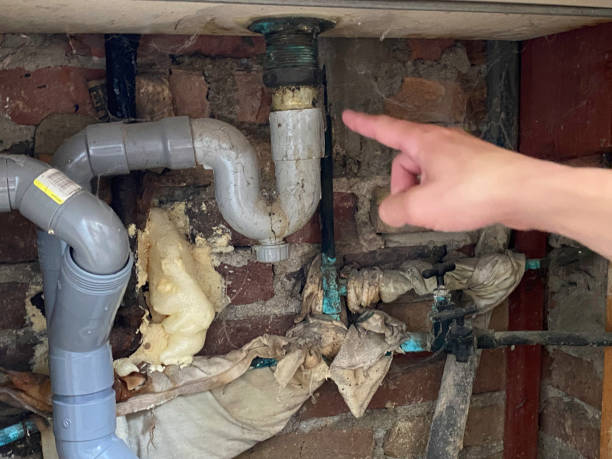Best 24/7 water damage repair  in Weber City, VA