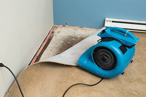Best Flood restoration services  in Weber City, VA